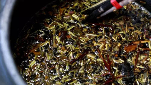 迎泽区中医医院:坚守医者初心,弘扬中医国粹